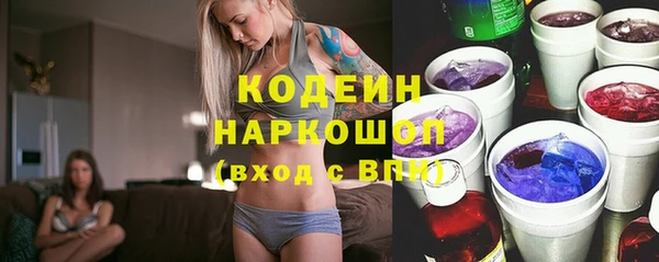 хмурый Алексин