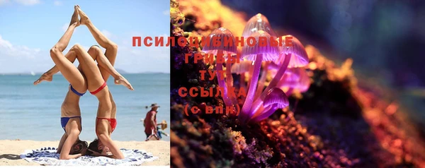 СК Сатка