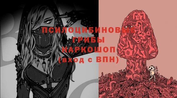 хмурый Алексин