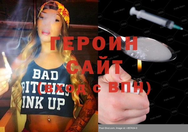 хмурый Алексин