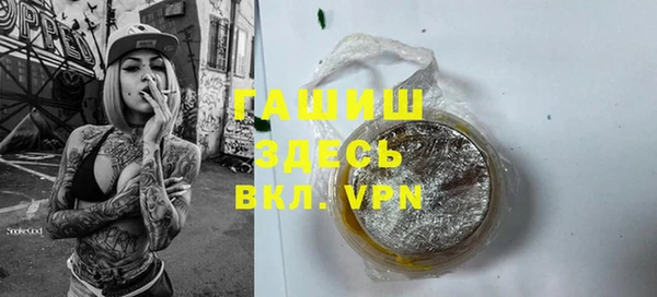 хмурый Алексин