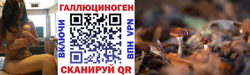 KRAKEN маркетплейс Жуков Галлюциногенные грибы ЛСД сколько стоит